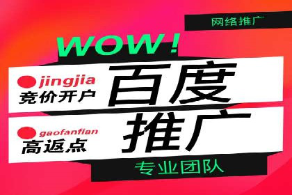 百度推广优化成功案例，揭秘优化秘籍
